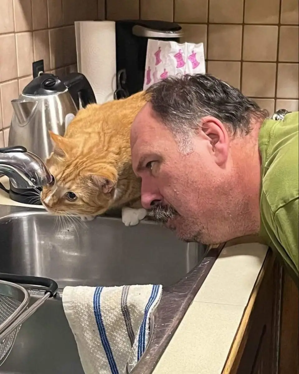 Man kissing cat photo converted to anime style